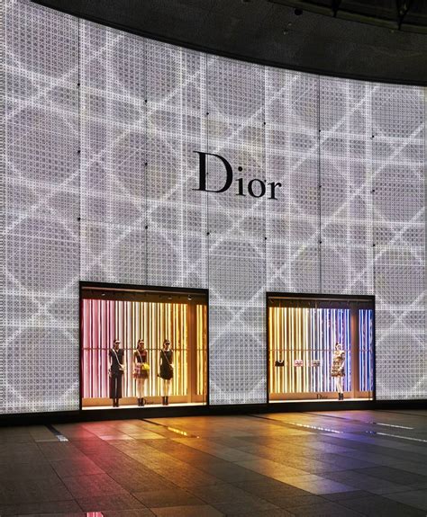 dior singapore website